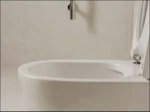 bezkołnierzowe miski WC